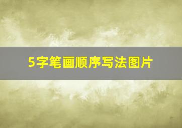 5字笔画顺序写法图片