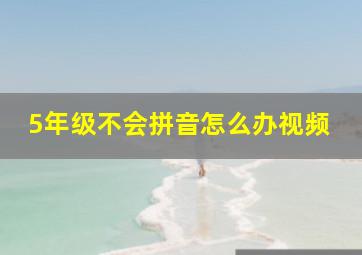 5年级不会拼音怎么办视频