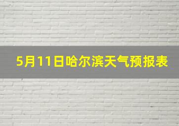 5月11日哈尔滨天气预报表