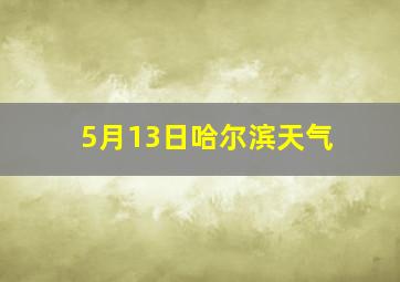 5月13日哈尔滨天气