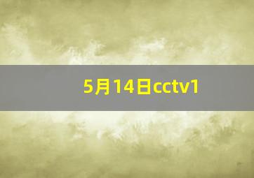 5月14日cctv1