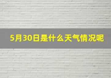 5月30日是什么天气情况呢