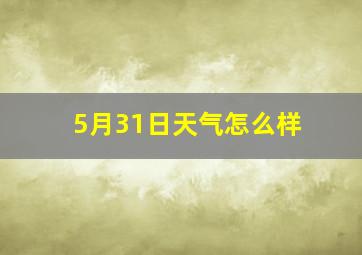 5月31日天气怎么样