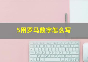 5用罗马数字怎么写