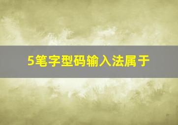 5笔字型码输入法属于