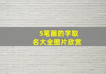 5笔画的字取名大全图片欣赏