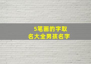 5笔画的字取名大全男孩名字