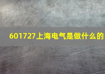 601727上海电气是做什么的