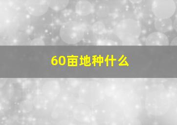 60亩地种什么