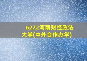 6222河南财经政法大学(中外合作办学)