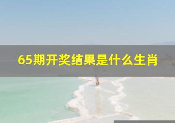 65期开奖结果是什么生肖