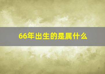 66年出生的是属什么