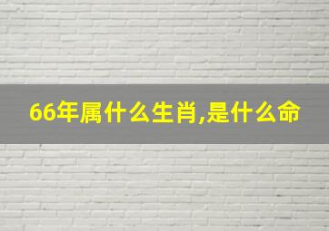 66年属什么生肖,是什么命