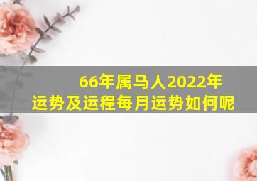 66年属马人2022年运势及运程每月运势如何呢