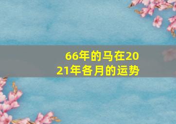 66年的马在2021年各月的运势