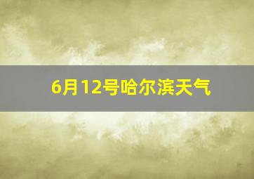 6月12号哈尔滨天气