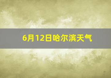 6月12日哈尔滨天气