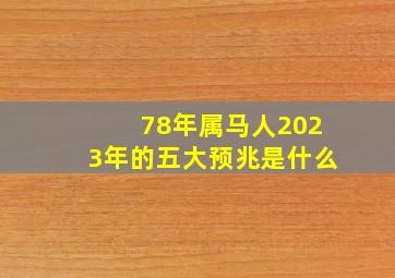 78年属马人2023年的五大预兆是什么