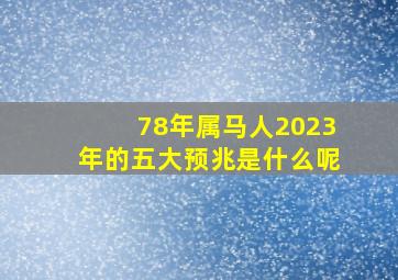 78年属马人2023年的五大预兆是什么呢