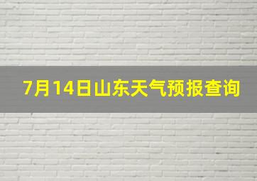 7月14日山东天气预报查询