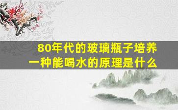 80年代的玻璃瓶子培养一种能喝水的原理是什么