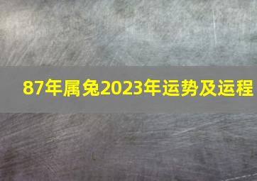 87年属兔2023年运势及运程