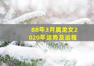 88年3月属龙女2020年运势及运程