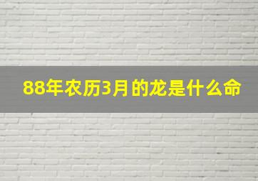 88年农历3月的龙是什么命