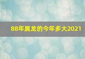 88年属龙的今年多大2021