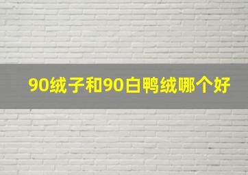 90绒子和90白鸭绒哪个好