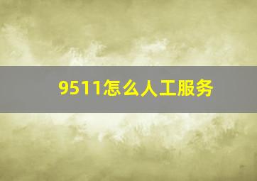 9511怎么人工服务