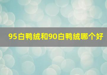 95白鸭绒和90白鸭绒哪个好