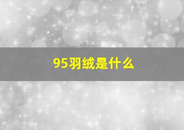 95羽绒是什么