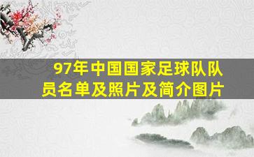 97年中国国家足球队队员名单及照片及简介图片