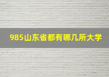 985山东省都有哪几所大学