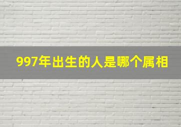 997年出生的人是哪个属相