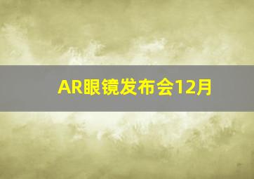 AR眼镜发布会12月