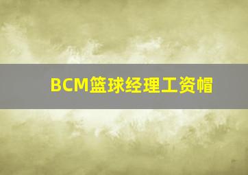 BCM篮球经理工资帽