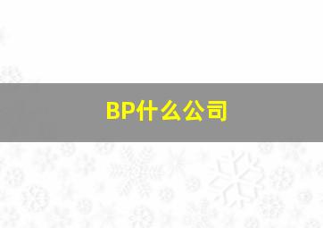 BP什么公司