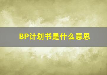 BP计划书是什么意思