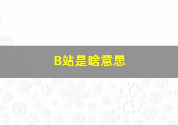 B站是啥意思