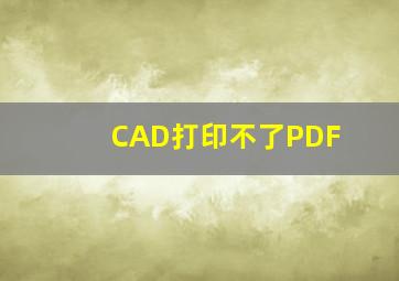 CAD打印不了PDF