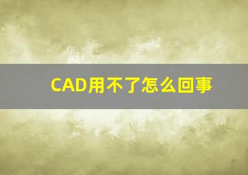 CAD用不了怎么回事