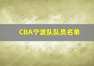 CBA宁波队队员名单