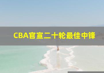 CBA官宣二十轮最佳中锋