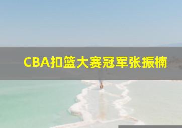 CBA扣篮大赛冠军张振楠