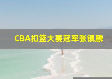 CBA扣篮大赛冠军张镇麟