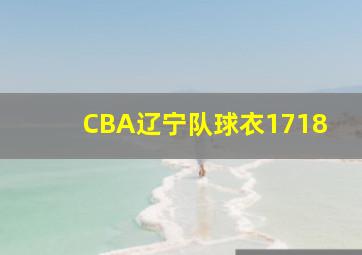 CBA辽宁队球衣1718