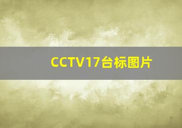 CCTV17台标图片