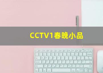 CCTV1春晚小品